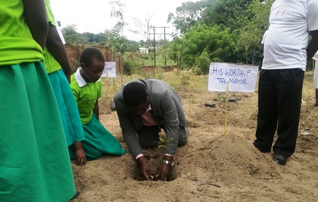 Deputy Mayor plants a tree